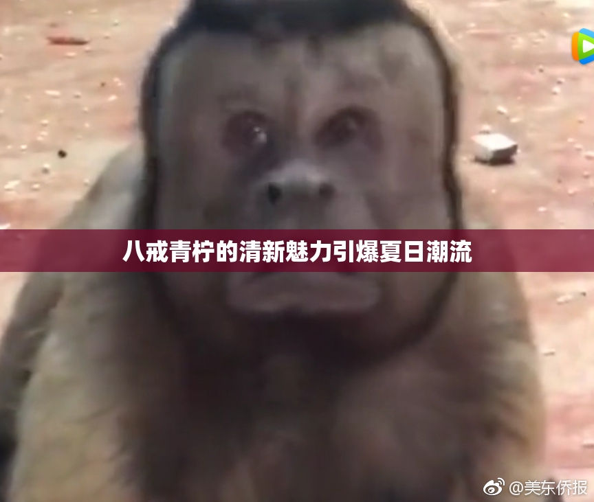八戒青柠的清新魅力引爆夏日潮流