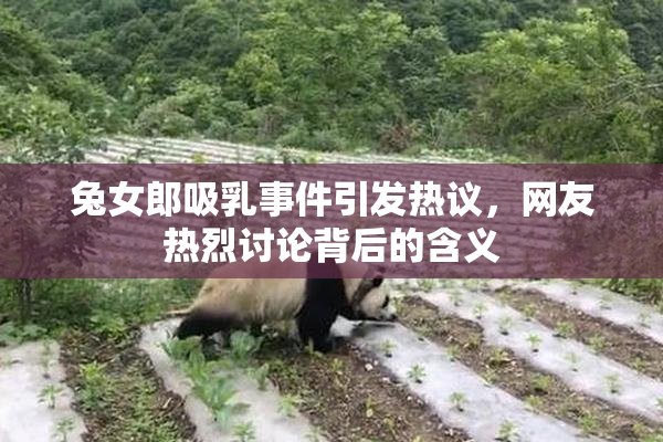 兔女郎吸乳事件引发热议，网友热烈讨论背后的含义