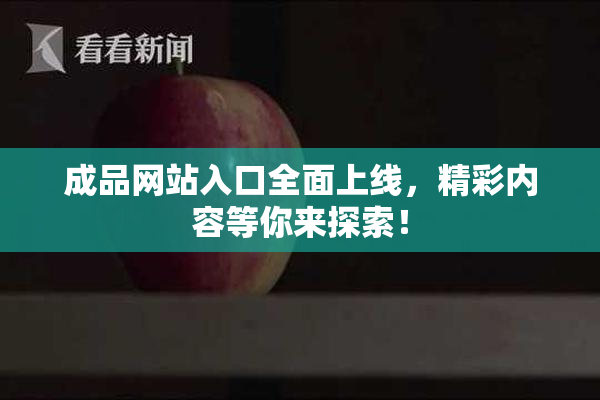 成品网站入口全面上线，精彩内容等你来探索！