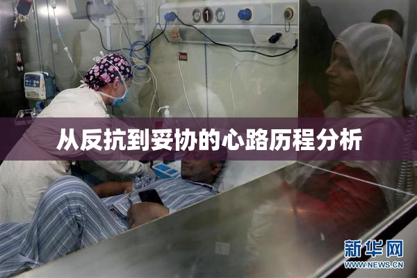 从反抗到妥协的心路历程分析