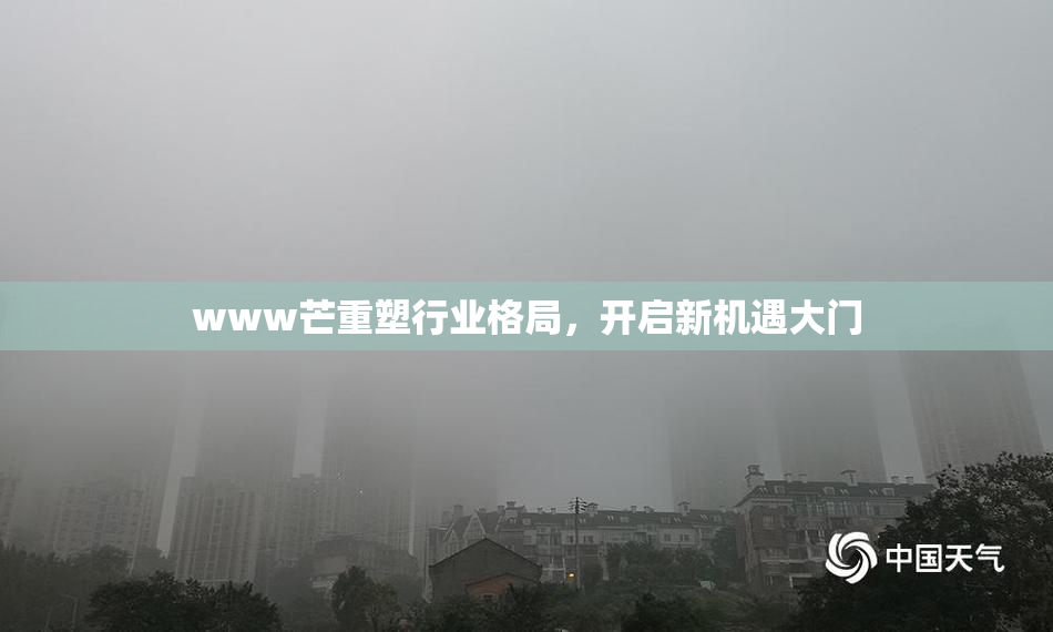 www芒重塑行业格局，开启新机遇大门