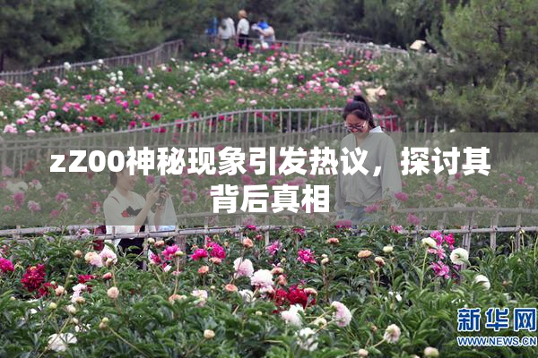 zZ00神秘现象引发热议，探讨其背后真相