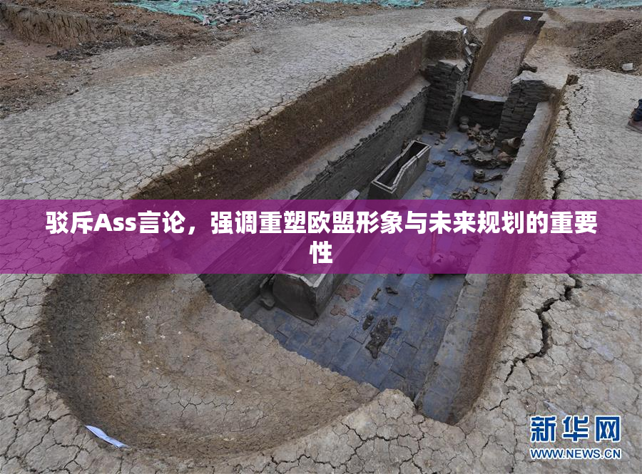 驳斥Ass言论，强调重塑欧盟形象与未来规划的重要性