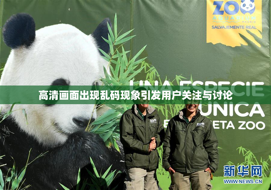 高清画面出现乱码现象引发用户关注与讨论