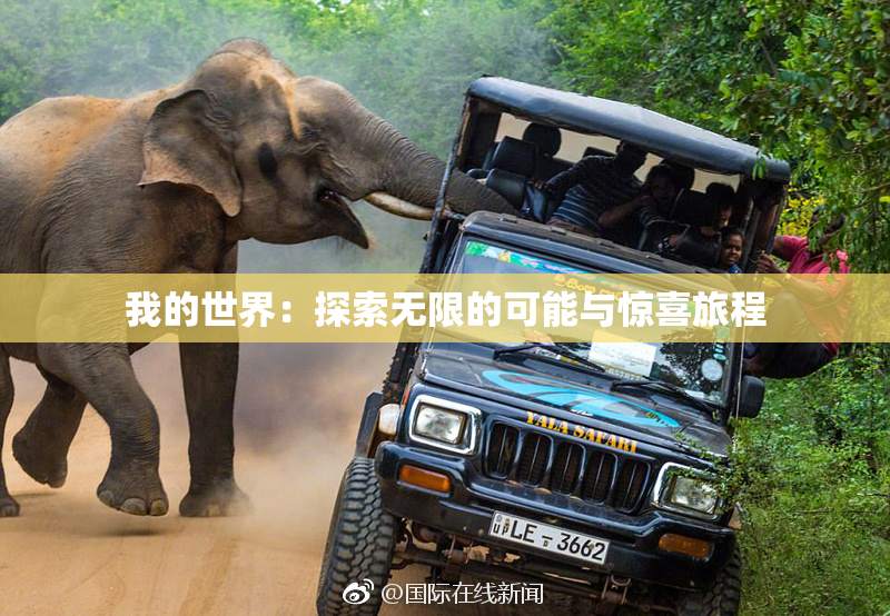 我的世界：探索无限的可能与惊喜旅程