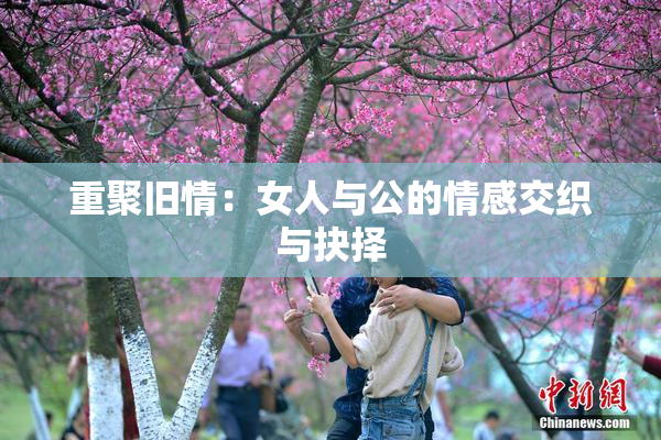 重聚旧情：女人与公的情感交织与抉择