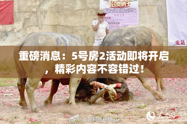 重磅消息：5号房2活动即将开启，精彩内容不容错过！