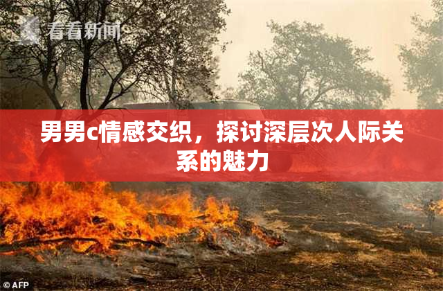 男男c情感交织，探讨深层次人际关系的魅力