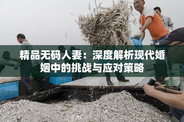 精品无码人妻：深度解析现代婚姻中的挑战与应对策略