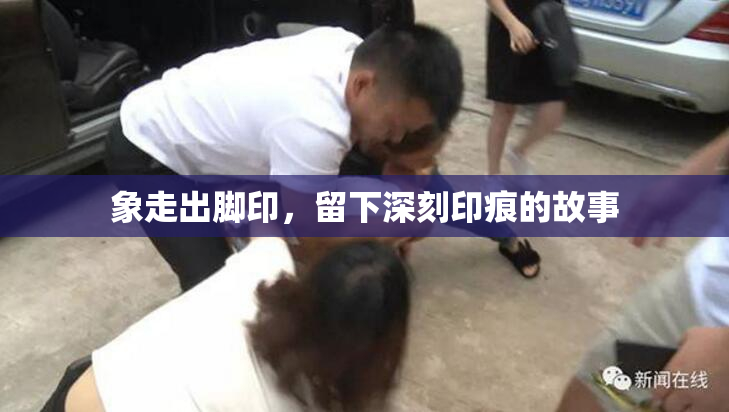 象走出脚印，留下深刻印痕的故事