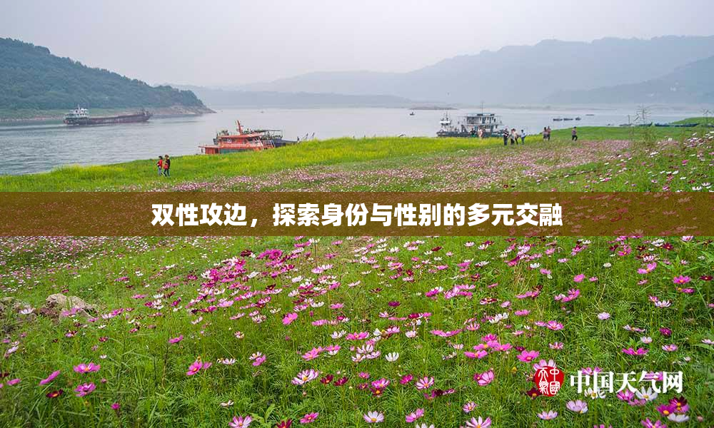 双性攻边，探索身份与性别的多元交融