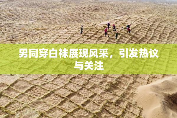 男同穿白袜展现风采，引发热议与关注