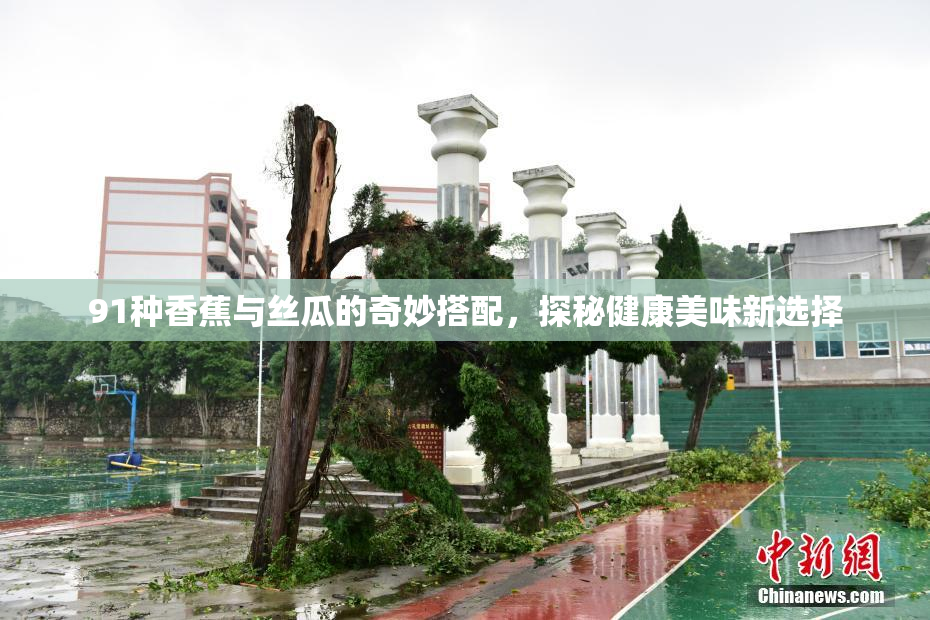 91种香蕉与丝瓜的奇妙搭配，探秘健康美味新选择