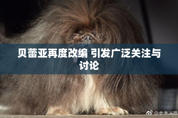 贝蕾亚再度改编 引发广泛关注与讨论