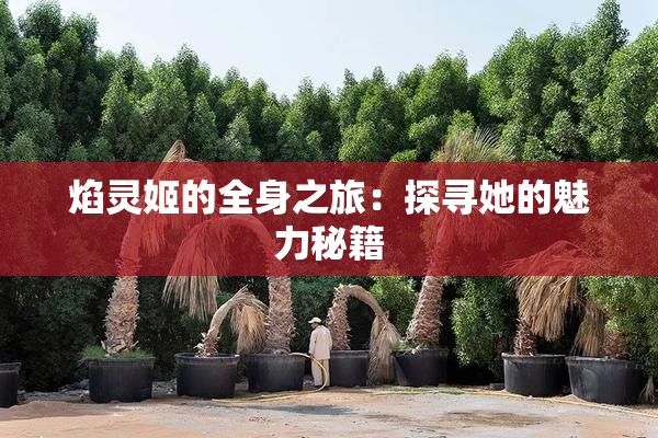 焰灵姬的全身之旅：探寻她的魅力秘籍