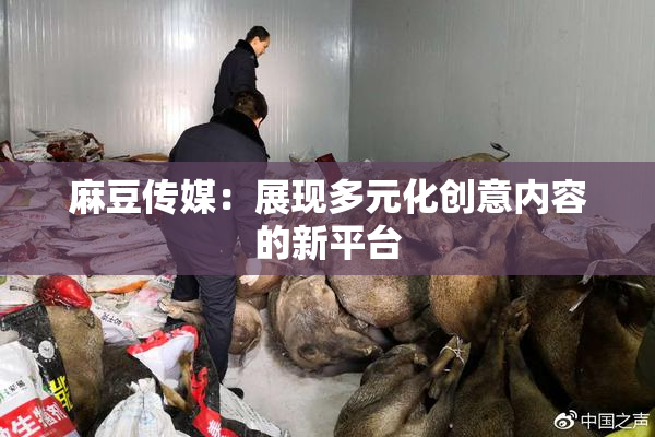 麻豆传媒：展现多元化创意内容的新平台