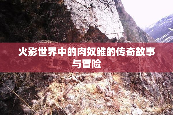 火影世界中的肉奴雏的传奇故事与冒险