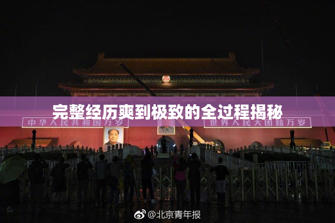 完整经历爽到极致的全过程揭秘