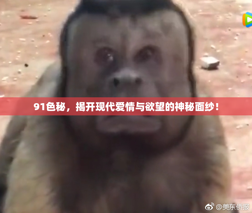 91色秘，揭开现代爱情与欲望的神秘面纱！