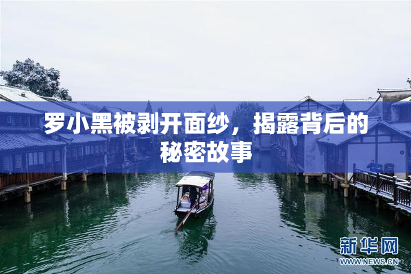 罗小黑被剥开面纱，揭露背后的秘密故事