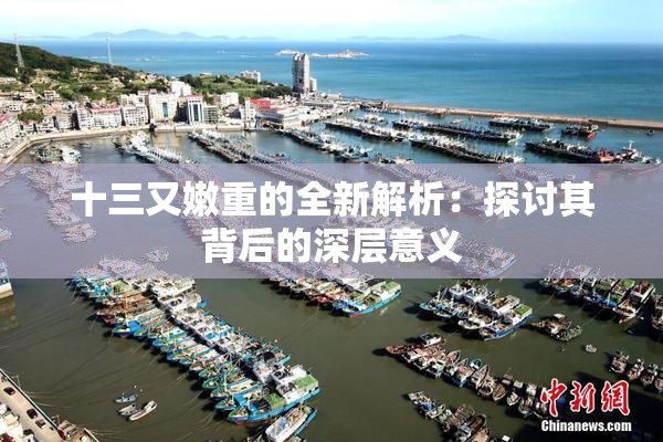 十三又嫩重的全新解析：探讨其背后的深层意义