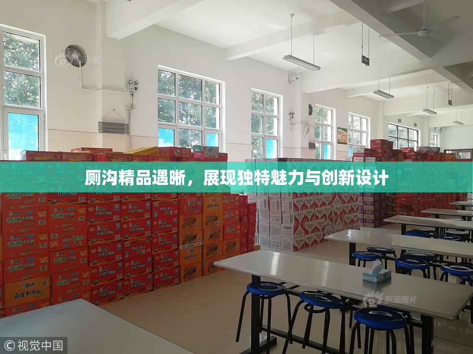 厕沟精品遇晰，展现独特魅力与创新设计