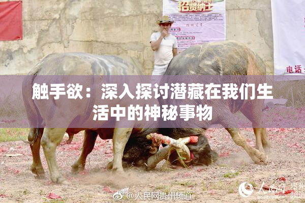 触手欲：深入探讨潜藏在我们生活中的神秘事物