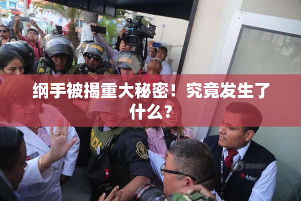 纲手被揭重大秘密！究竟发生了什么？