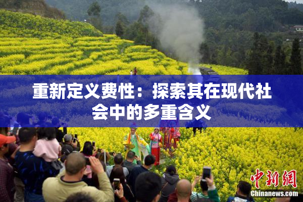 重新定义费性：探索其在现代社会中的多重含义