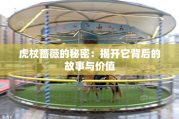 虎杖蔷薇的秘密：揭开它背后的故事与价值