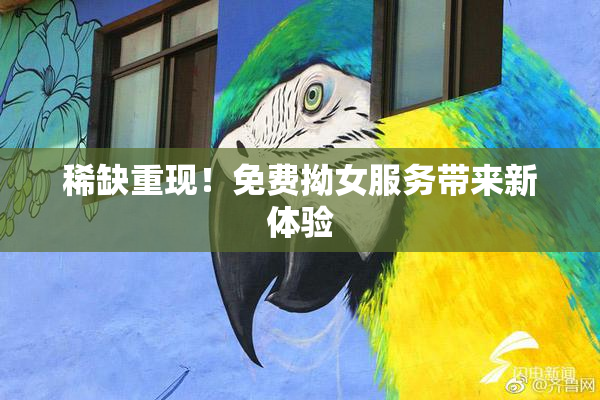 稀缺重现！免费拗女服务带来新体验
