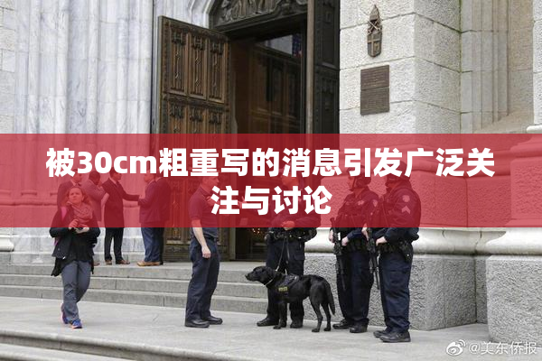 被30cm粗重写的消息引发广泛关注与讨论