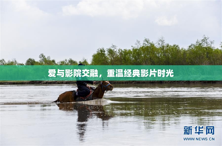 爱与影院交融，重温经典影片时光