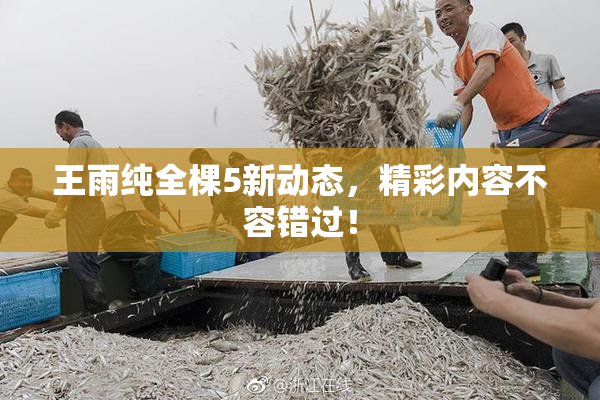 王雨纯全棵5新动态，精彩内容不容错过！