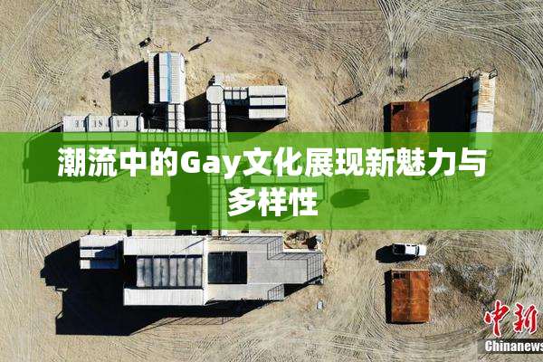 潮流中的Gay文化展现新魅力与多样性