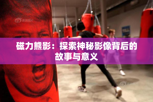 磁力熊影：探索神秘影像背后的故事与意义