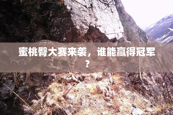 蜜桃臀大赛来袭，谁能赢得冠军？