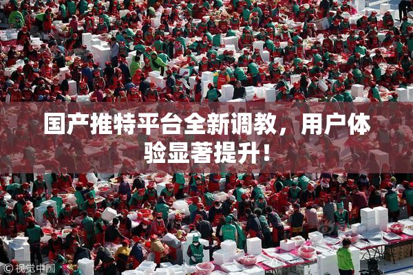 国产推特平台全新调教，用户体验显著提升！