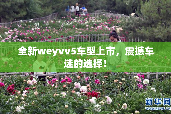全新weyvv5车型上市，震撼车迷的选择！