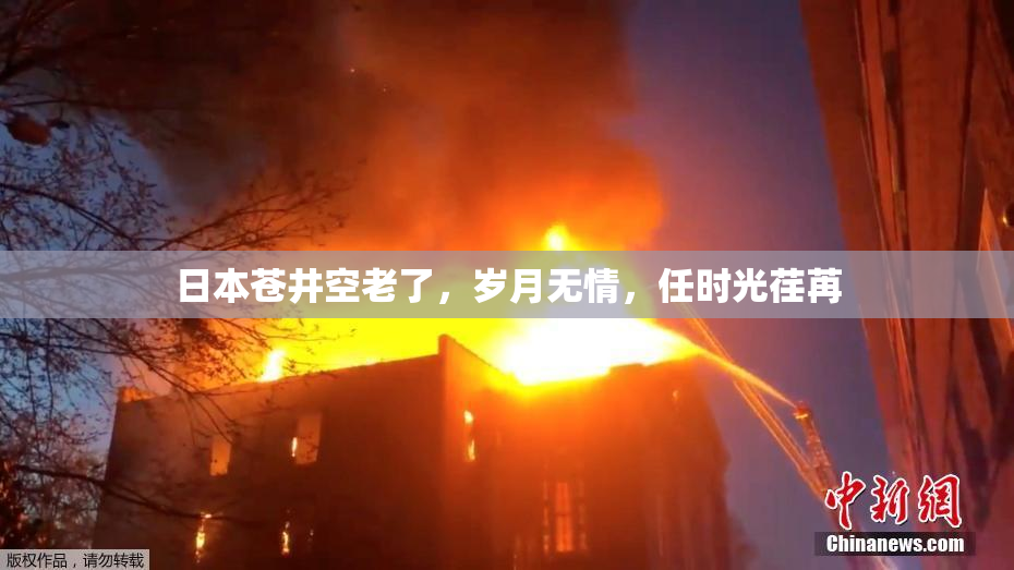 日本苍井空老了，岁月无情，任时光荏苒