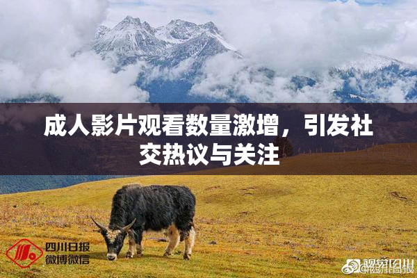 成人影片观看数量激增，引发社交热议与关注