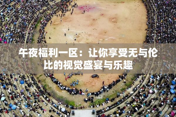 午夜福利一区：让你享受无与伦比的视觉盛宴与乐趣
