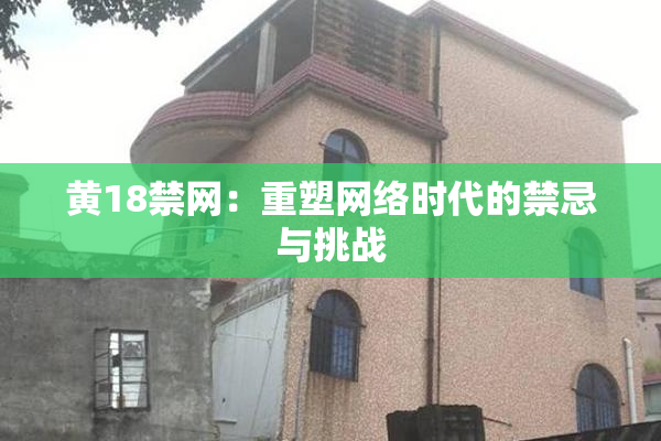 黄18禁网：重塑网络时代的禁忌与挑战