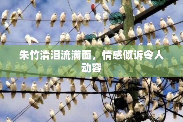 朱竹清泪流满面，情感倾诉令人动容