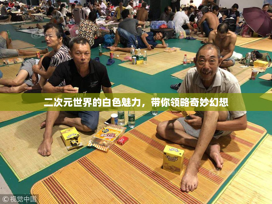 二次元世界的白色魅力，带你领略奇妙幻想
