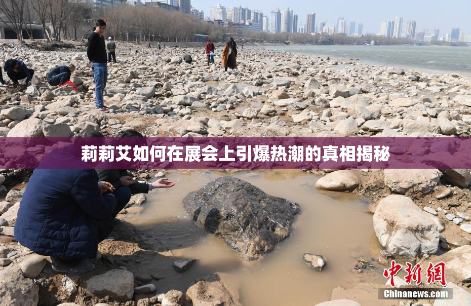莉莉艾如何在展会上引爆热潮的真相揭秘