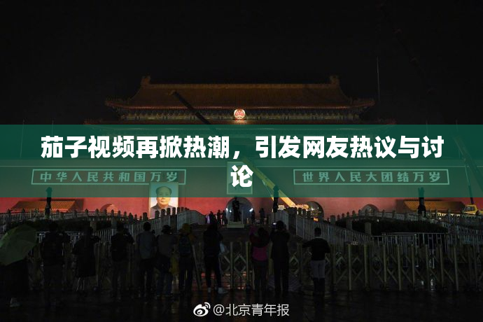 茄子视频再掀热潮，引发网友热议与讨论