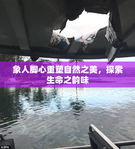 象人脚心重塑自然之美，探索生命之韵味