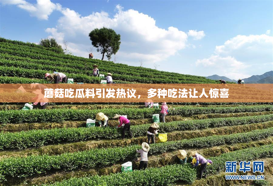 蘑菇吃瓜料引发热议，多种吃法让人惊喜
