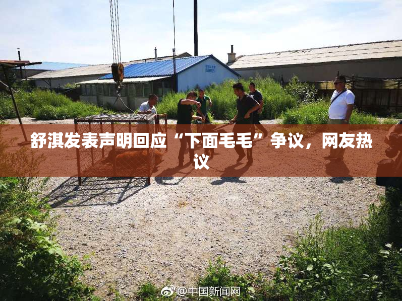 舒淇发表声明回应“下面毛毛”争议，网友热议